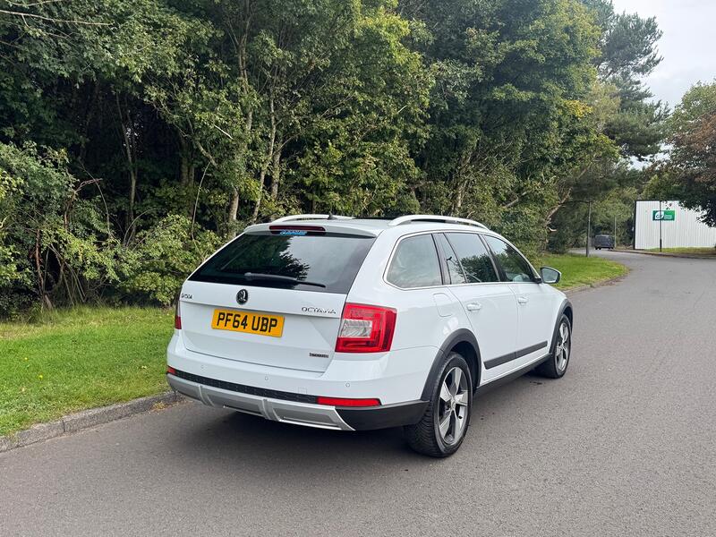 View SKODA OCTAVIA 2.0 TDI Scout
